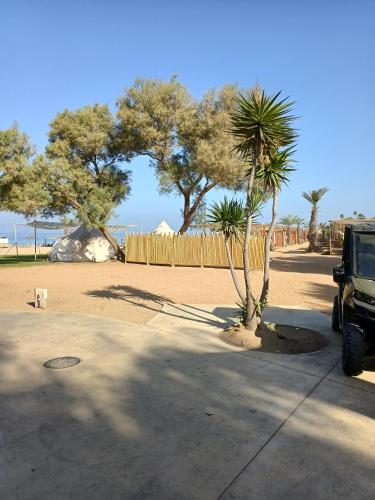 a car parked on a sidewalk next to a palm tree at דירת נופש באכזיב עם ג'קוזי מול חוף בננה ביץ Dream Place Achziv in Nahariyya