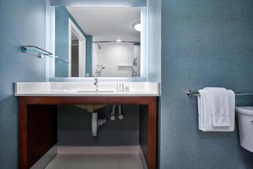 a bathroom with a sink and a mirror at Residence Inn by Marriott Ocean City in Ocean City