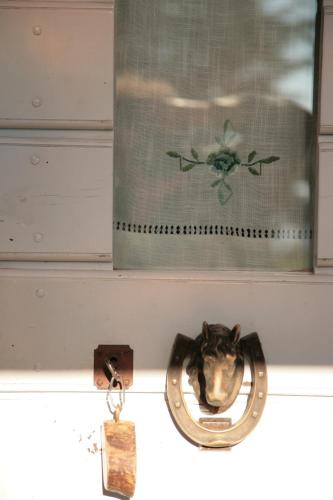 a cat sticking its head in a mirror in a window at Malvarina in Capodacqua