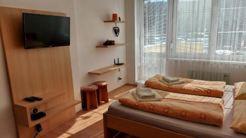 a bedroom with two beds and a flat screen tv at Apartment Magura in Donovaly