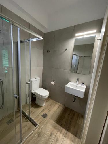 a bathroom with a toilet and a sink and a shower at Mouragio Apartments in Tyros