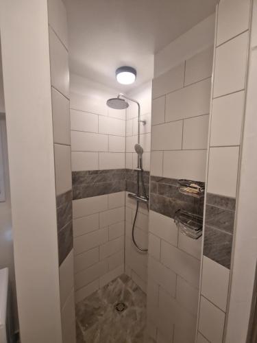 baño con ducha y puerta de cristal en City Loft Stegersbach, en Stegersbach