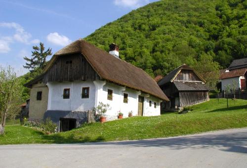 Příroda nedaleko farmy