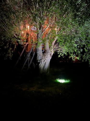 a tree with a ladder in front of it at night at LedowoHouse Industrial Style kids friendly in Lędowo