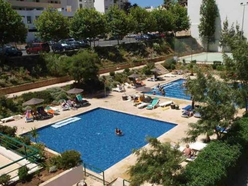 Jardins Da Rocha by CORAL