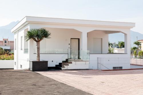 a white house with a palm tree in front of it at BnB Villa Langellotti in Pompei