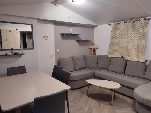维亚斯superbe mobil home 6/8 pers,clim, sans vis a vis dans camping 4* espace aquatique的带沙发和桌子的客厅