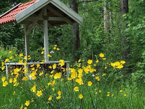 Taman di luar Lilla Skogstorp