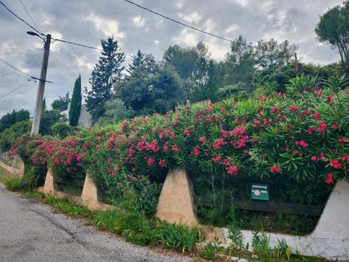 a row of flowers on the side of a road at La maison du petit Thomas in Taradeau