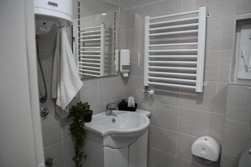 uma casa de banho com um lavatório e um espelho em Tc Lux em Nemenikuće