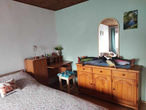 a bedroom with a bed and a dresser with a mirror at Apartman 1 RIBIČ in Ogulin