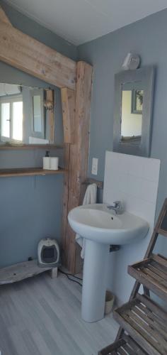 une salle de bain avec un lavabo blanc et un miroir dans l'établissement La Closerie de la Cèze, à Cornillon