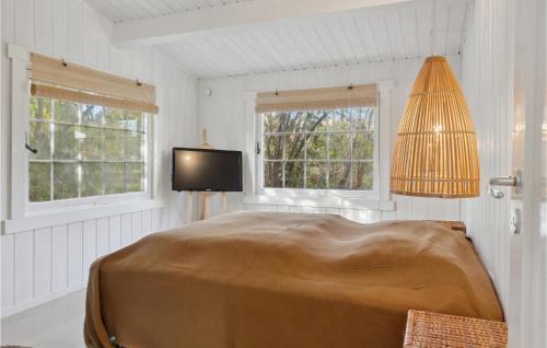 a bedroom with a bed and a tv and two windows at Nice Home In Nykbing Sj With Wifi in Tjørneholm