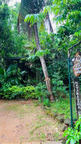 a palm tree and a stop sign on a dirt road at Kataragama Homestay in Kataragama