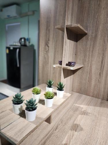 a row of potted plants sitting on a wooden table at 812 Quiet AC Apartment with Balcony & free Wifi in Bangkok