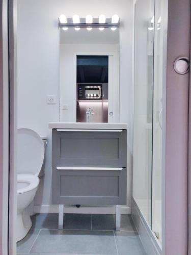 une salle de bain avec un lavabo et des toilettes dans l'établissement Appartement dans le centre historique, à Bordeaux