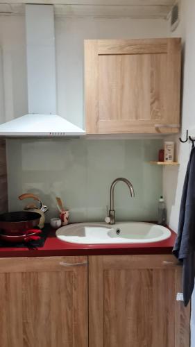 a kitchen with a white sink and wooden cabinets at Cocoon des sommets enneigés in La Foux