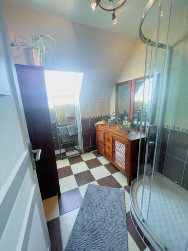 une salle de bain avec douche et lavabo dans l'établissement maison philirina, à Athée-sur-Cher