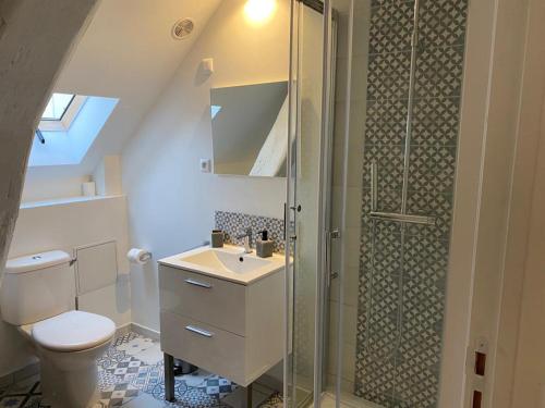 a bathroom with a shower and a toilet and a sink at Le Azzar in Melun