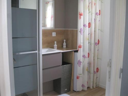 une salle de bain avec un lavabo et un rideau de douche dans l'établissement Gîte indépendant avec vue sur Mont St Michel, à Lolif