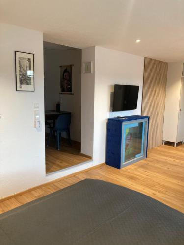a living room with a tv and a large mirror at Außergewöhnliches Apartment in bester Lage in Biberach an der Riß
