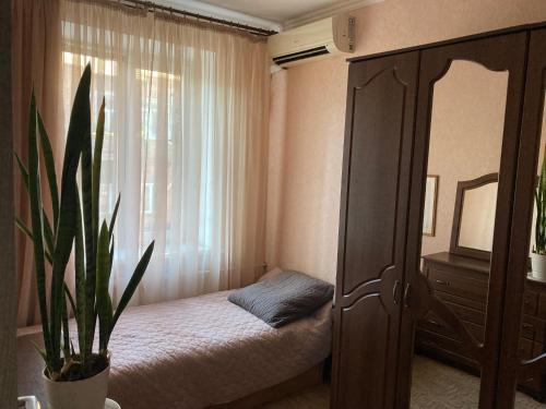 een slaapkamer met een bed en een spiegel en een plant bij Apartment Artynova 29 in Vinnytsya