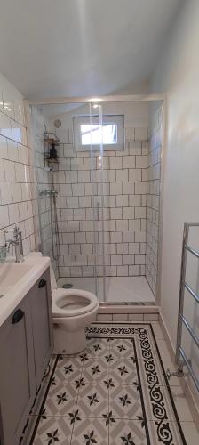 une salle de bain avec toilettes et lavabo dans l'établissement Studio avec jardin à 10 mn à pied du centre ville, à Toulouse