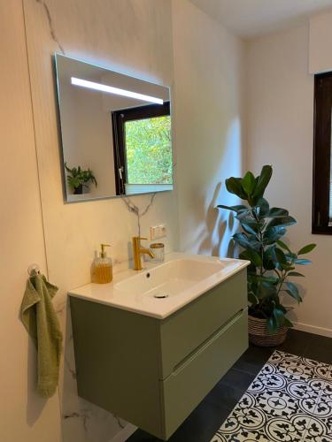 baño con lavabo, espejo y planta en Ferienhaus Sönnchen en Schleiden