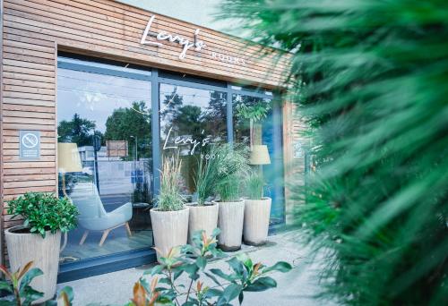 een winkel met planten in potten voor een raam bij Levy's Rooms & Breakfast in Salzburg