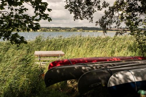 a bench sitting next to a body of water at Hus 42 in Fårup