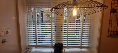 a large window with a potted plant in front of it at Het prinsentuintje in Leeuwarden