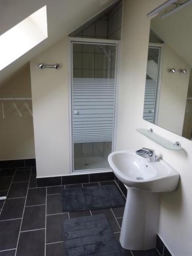 une salle de bain avec un lavabo et un miroir dans l'établissement Les Baillis, à Villegenon