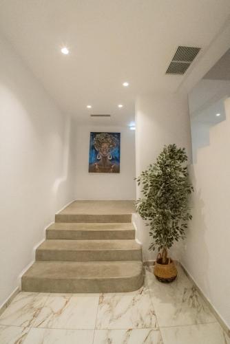 Φωτογραφία από το άλμπουμ του New Paradise Beach Resort - Adults only στην Παραλία Paradise