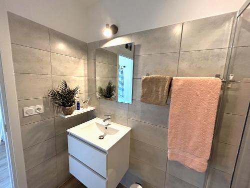 a bathroom with a sink and a shower at Appart Cala Rossa - T2 Porto-Vecchio in Lecci