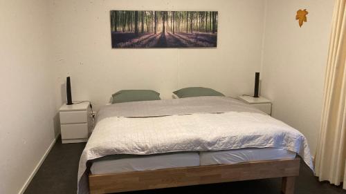 een slaapkamer met een bed met 2 nachtkastjes en 2 lampen bij Ahornlounge Faoug am Murtensee in Faoug