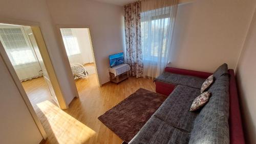ein Wohnzimmer mit einem Sofa und einem TV in der Unterkunft Airport-apartament 24&24 Chişinău!!! in Chişinău