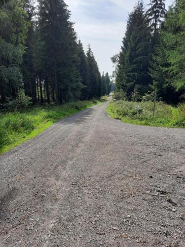 an empty road in the middle of a forest at Skandihaus in Großbreitenbach