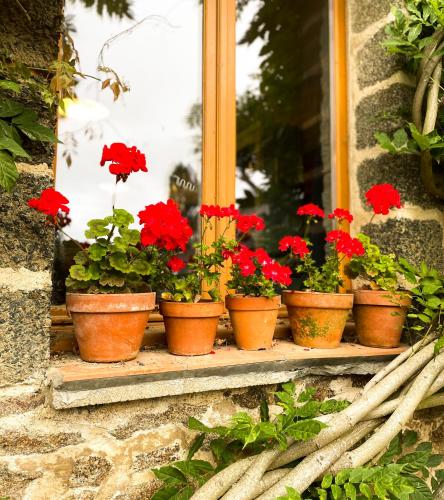 a group of potted plants sitting on a window sill at Wisteria Gites in Saint-Denis-de-Gastines