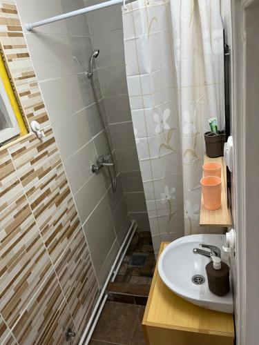 a bathroom with a shower and a sink at Jelka in Sremski Karlovci