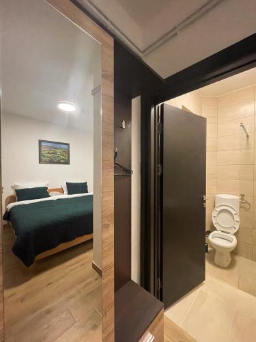 a bathroom with a bed and a toilet in a room at Konačište Zaplanjsko ognjište in Donji Dušnik