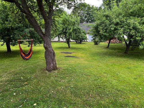 a hammock hanging from a tree in a park at Privaatne talu otse mere ääres in Tahkuranna