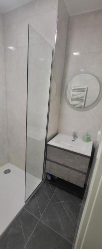 a bathroom with a shower and a sink and a mirror at Appartement Eco in Esch-sur-Alzette