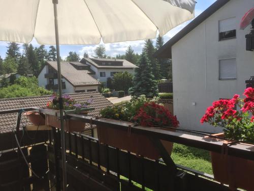 Κήπος έξω από το Ferienwohnung Kuckuck auf dem Sommerberg incl SchwarzwaldCard Plus - 2 Zimmer 50qm