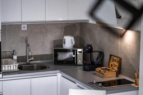 Kuchyň nebo kuchyňský kout v ubytování Apartman Georgijev
