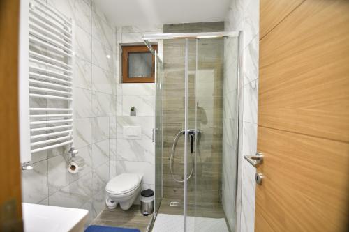 茲拉蒂博爾的住宿－Brvnara Mont 3，带淋浴、卫生间和盥洗盆的浴室