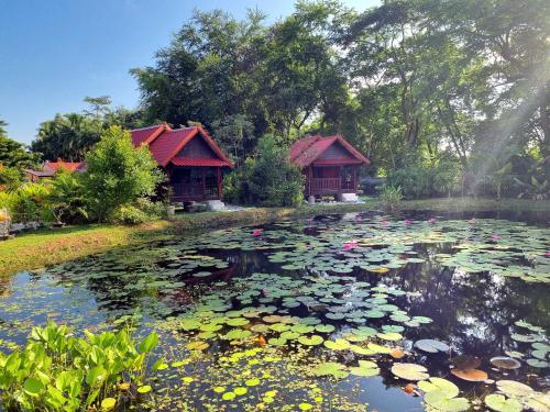 a pond with two huts and lily pads at Bua Daeng Homestay Resort in Amphoe Kumphawapi