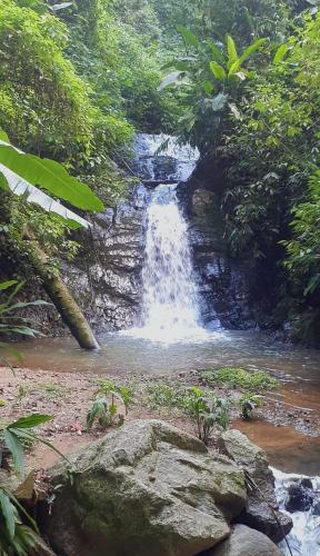 une cascade au milieu d'une rivière dans une forêt dans l'établissement Sitio do Alemão, à Benedito Novo