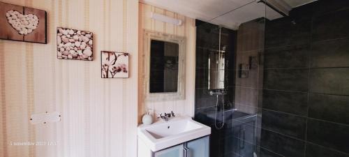 a bathroom with a sink and a toilet and a shower at L'Echappée Belle - Centre ville - vue cour arborée in Bourg-en-Bresse