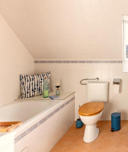a bathroom with a toilet and a sink at Leichtes Gepäck in Pellworm