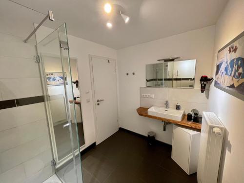 a bathroom with a sink and a shower at Ferienwohnung Eulenloch in Nördlingen